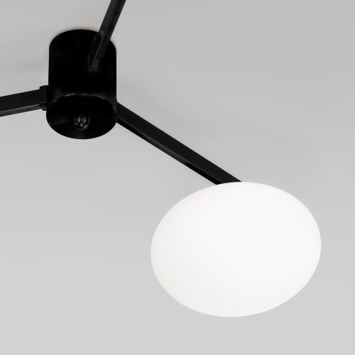 Потолочный светильник Eurosvet 70220/3 черный