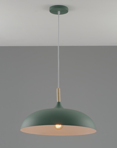 Подвесной светильник Moderli V10656-1P Hygo