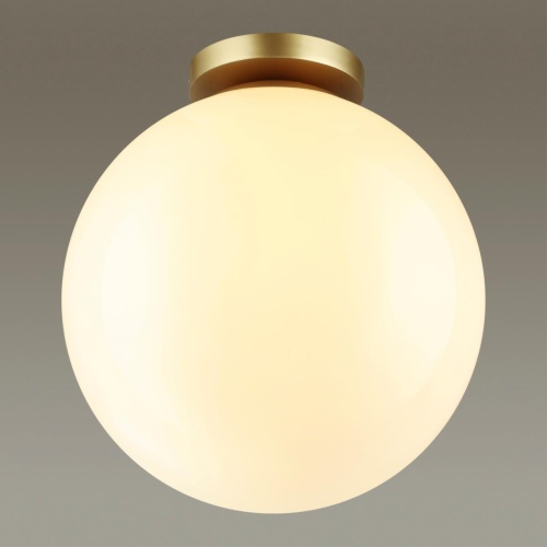 Светильник для ванной комнаты Odeon light Bosco 4249/1C