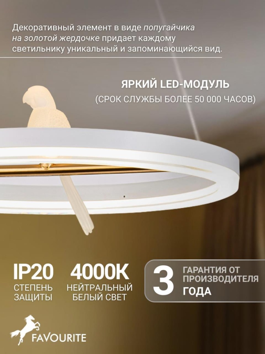 card-img