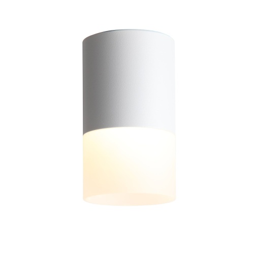 ST100.502.10 Светильник потолочный Белый LED 1*10W 3000K 780Lm Ra&gt;80 120° D78xH135 170-240V Накладные светильники