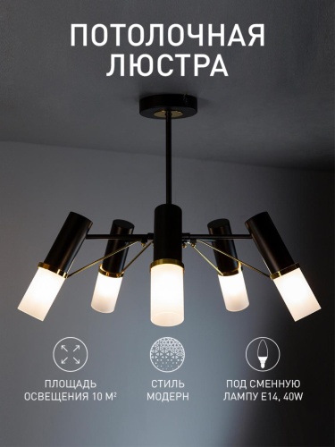 Потолочная люстра 2558-5P