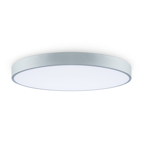 Потолочный светильник Freya FR6129CL-L80GR