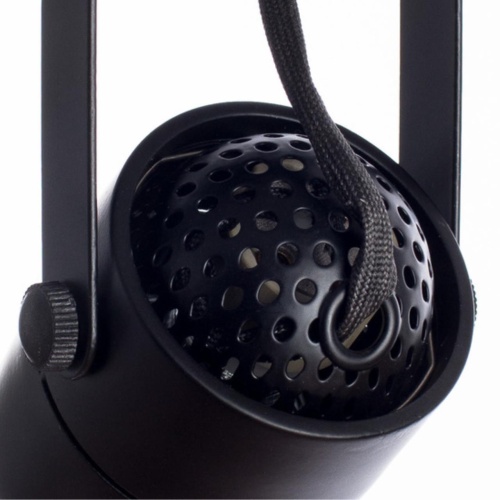 Arte lamp A1310PL-2BK СВЕТИЛЬНИК ПОТОЛОЧНЫЙ