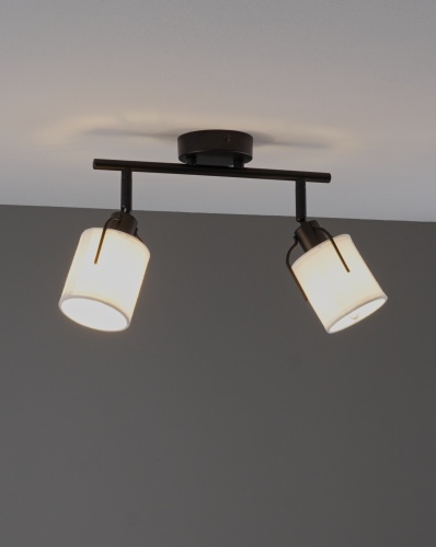 Спот Moderli V11847-2C Inari