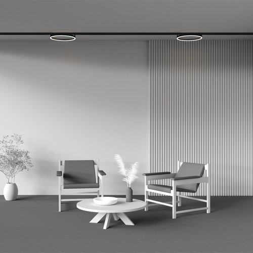 Трековый светильник Technical TR227-2-24W3K-B