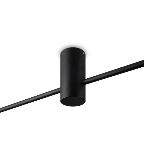 Потолочный светильник Freya FR5363CL-02B1