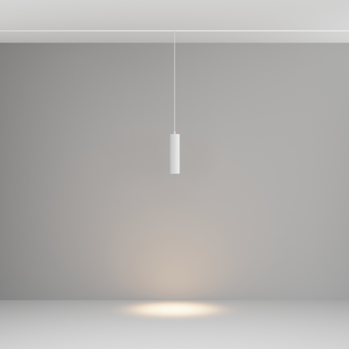 Трековый подвесной светильник Technical TR041-2-12W3K-W