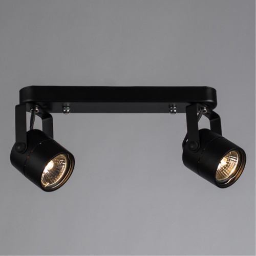 Arte lamp A1311PL-2BK СВЕТИЛЬНИК ПОТОЛОЧНЫЙ
