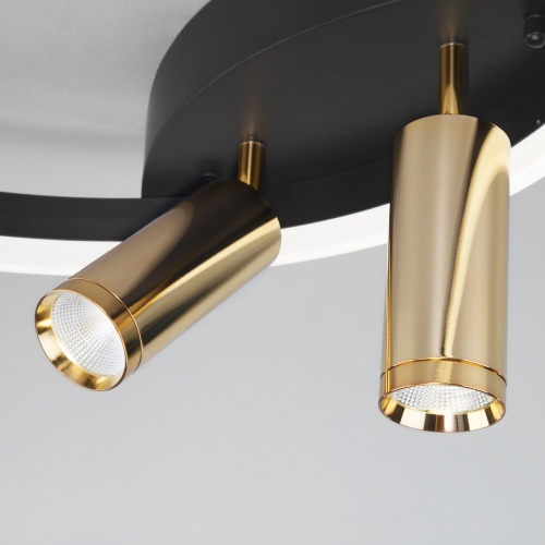 Потолочный светильник Eurosvet 90247/3 черный/золото