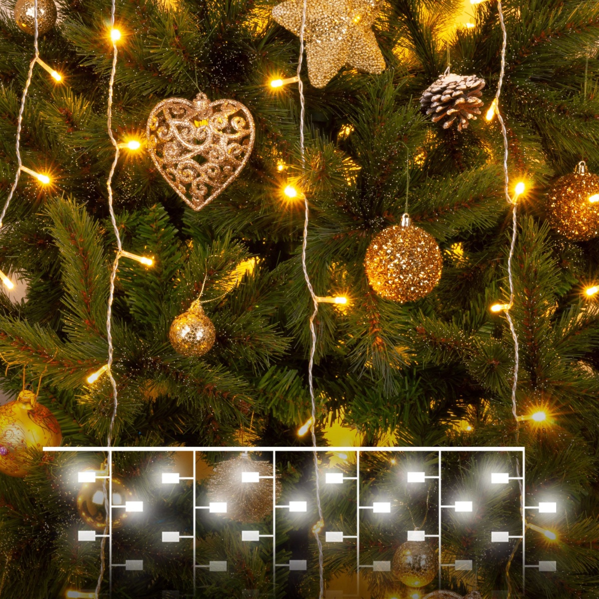 card-img