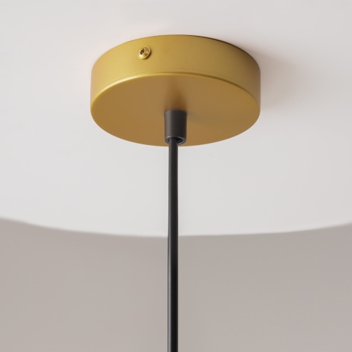 Подвесной светильник Maytoni P363PL-01G