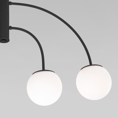 Потолочный светильник Eurosvet 30179/4 черный