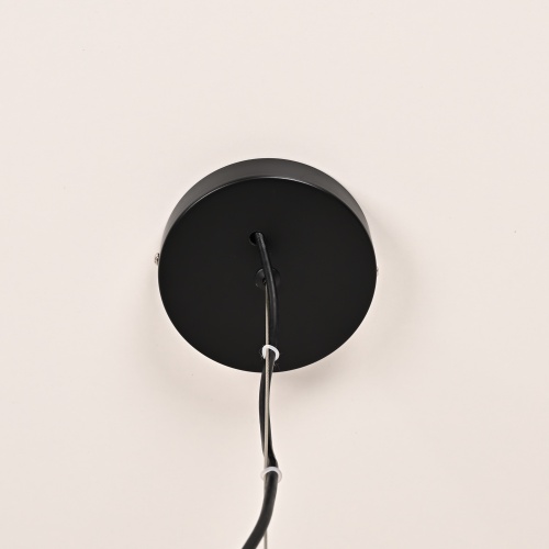 Подвесной светильник RASK D50 309065-26