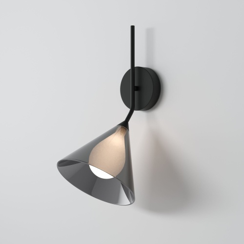 Настенный светильник Eurosvet 70161/1 черный