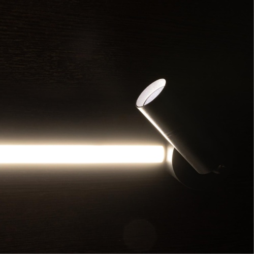 Arte lamp A2219PL-2BK СВЕТИЛЬНИК ПОТОЛОЧНЫЙ
