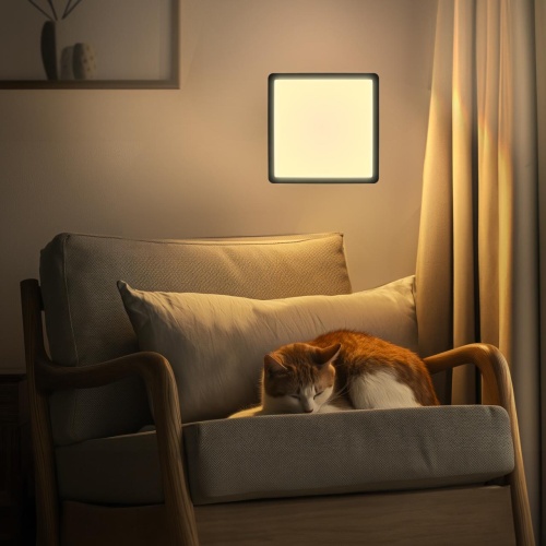 CL738K501V Бейсик Черный Св-к Накл. LED 50W*Мульти