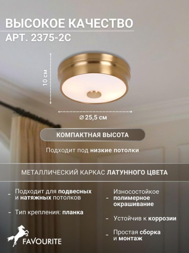 Потолочный светильник 2375-2C