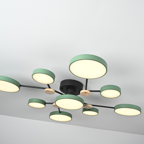 Потолочная люстра GAMMA D98 Green 223772-23