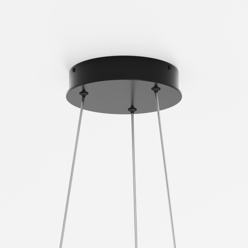 Подвесной светильник Maytoni MOD058PL-L54BK