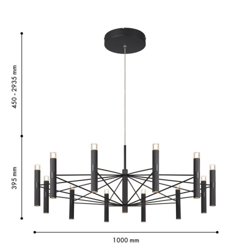 Подвесная люстра Favourite 4758-12P, подвесная люстра, D1000xH450/2935, 12xLEDx7W, 4600LM, 3000K, included