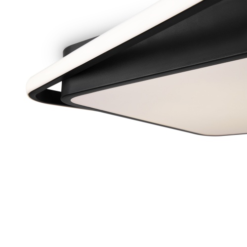 Потолочный светильник Freya FR10030CL-L88B