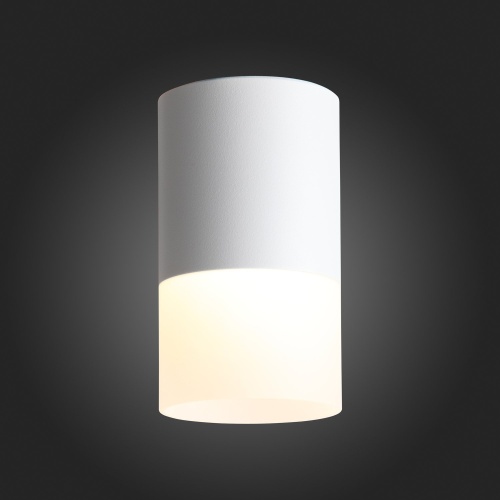 ST100.502.10 Светильник потолочный Белый LED 1*10W 3000K 780Lm Ra&gt;80 120° D78xH135 170-240V Накладные светильники