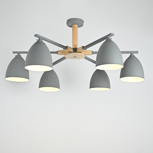 Потолочная люстра NOA 6 Gray 183460-26