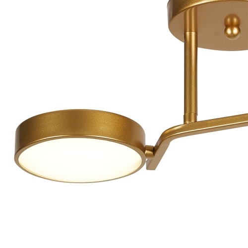 Потолочный светильник Escada 10273/2 LED*24W Champagne gold