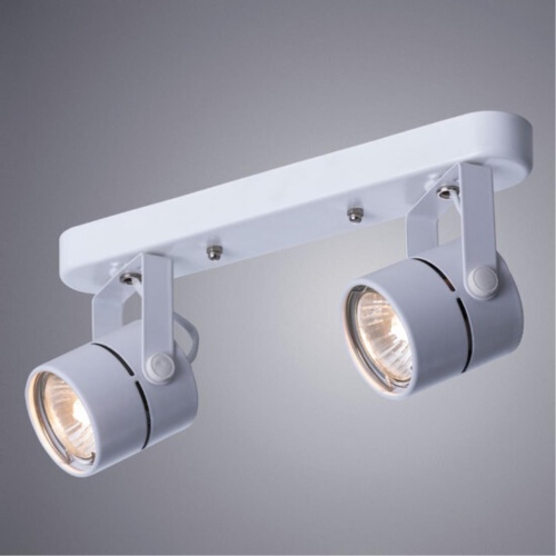 Arte lamp A1311PL-2WH СВЕТИЛЬНИК ПОТОЛОЧНЫЙ