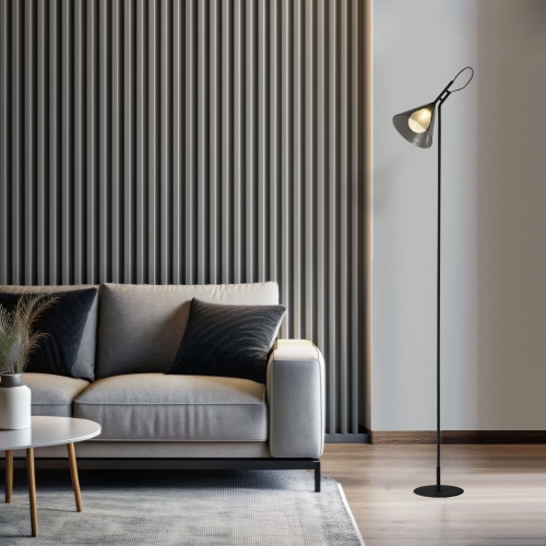 Напольный светильник Eurosvet 01187/1 черный