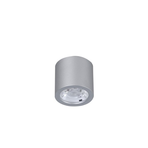 Потолочный светильник Favourite 2808-1C, потолочный светильник, D65xH60, 1xLEDx7W, 560LM, 4000K, included