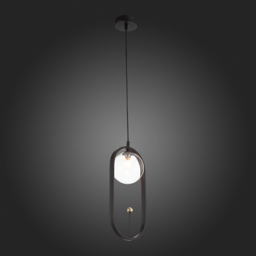 SL1201.403.01 Подвес ST-Luce Черный/Прозрачный G9 1*5W CIRCONO