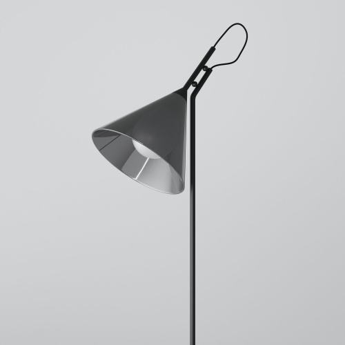 Напольный светильник Eurosvet 01187/1 черный