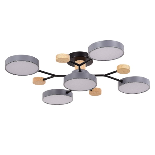 SLE6006-702-05 Светильник потолочный Серый/Серый LED 5*12W 3000K/4500K/6000K ФАЭМА