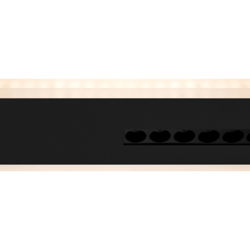 Потолочный светильник Freya FR6105CL-L40B