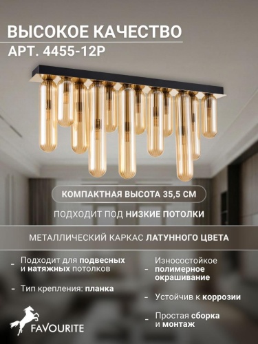 Потолочный светильник 4455-12P