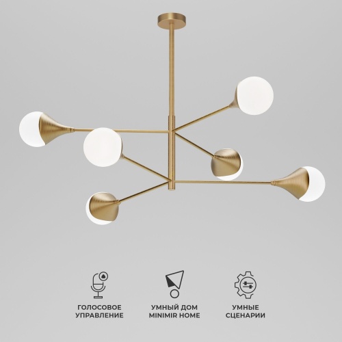 Потолочный светильник Eurosvet 60168/6 латунь Smart