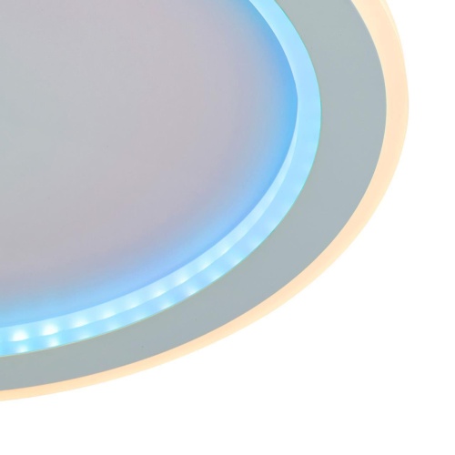 Потолочный светильник F-Promo 4697-4C, потолочный светильник, D450xH55, LEDx24W, 1200LM, 3000-6000K, included, remote control