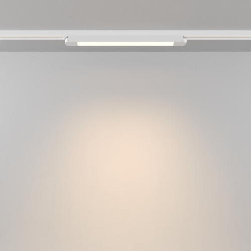 Трековый светильник Technical TR000-1-12W3K-W_1