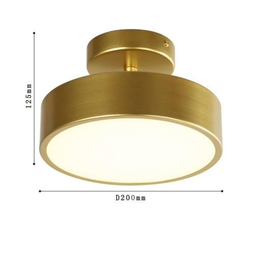 Потолочный светильник F-Promo 3059-2P, потолочный светильник, D200xH125, LEDx18W, 1440LM, 4000K, included