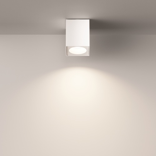 Потолочный светильник Technical C030CL-01W