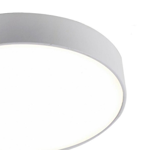 Потолочный светильник Favourite 2065-30C, потолочный светильник, D225xH40, LEDx30W, AC:100-240V, IP21, 2550LM, 4000K, included