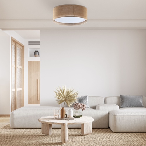 Потолочный светильник TK Lighting 6584 Juta