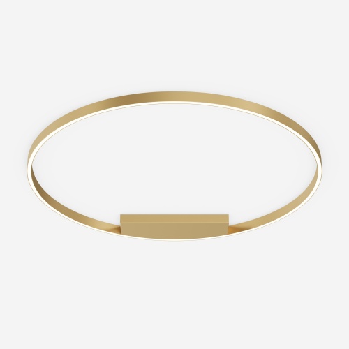 Потолочный светильник Maytoni MOD058CL-L65BSK