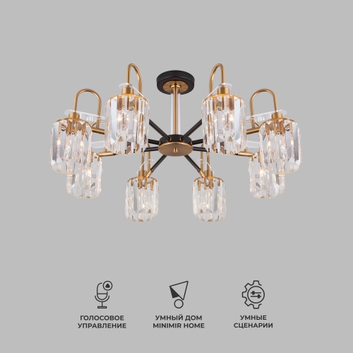 Потолочный светильник Eurosvet 70090/8 черный Smart