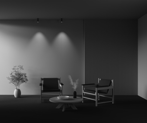 Потолочный светильник Technical C056CL-L12W2.7K-W-BS