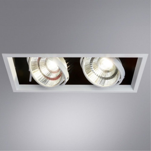 Карданный светильник Arte lamp A8450PL-2WH СВЕТИЛЬНИК ПОТОЛОЧНЫЙ