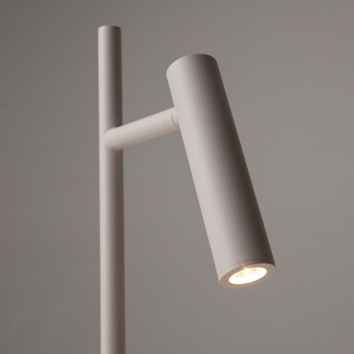 Напольный светильник (торшер) Maytoni Z010FL-L8W3K