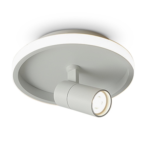 Потолочный светильник Freya FR6040CL-L14W